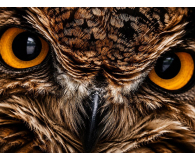 Acer Predator XB273UX2BMIIPRX - 1527842 - zdjęcie 14